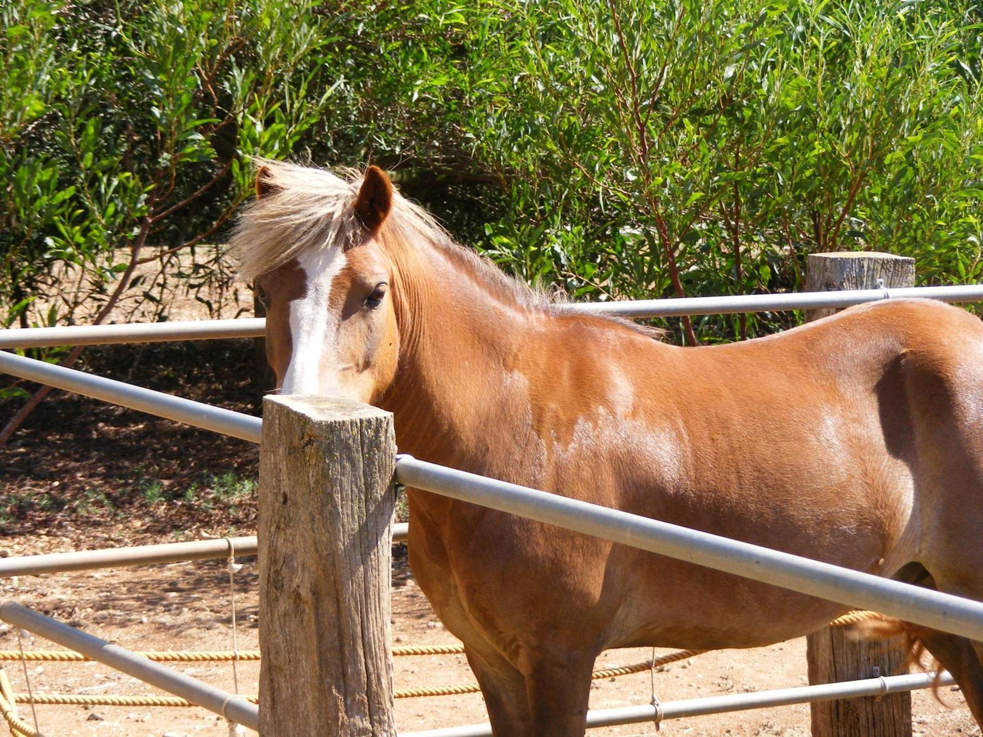 Agroturismo Finca Sant Blai Кампос Екстериор снимка