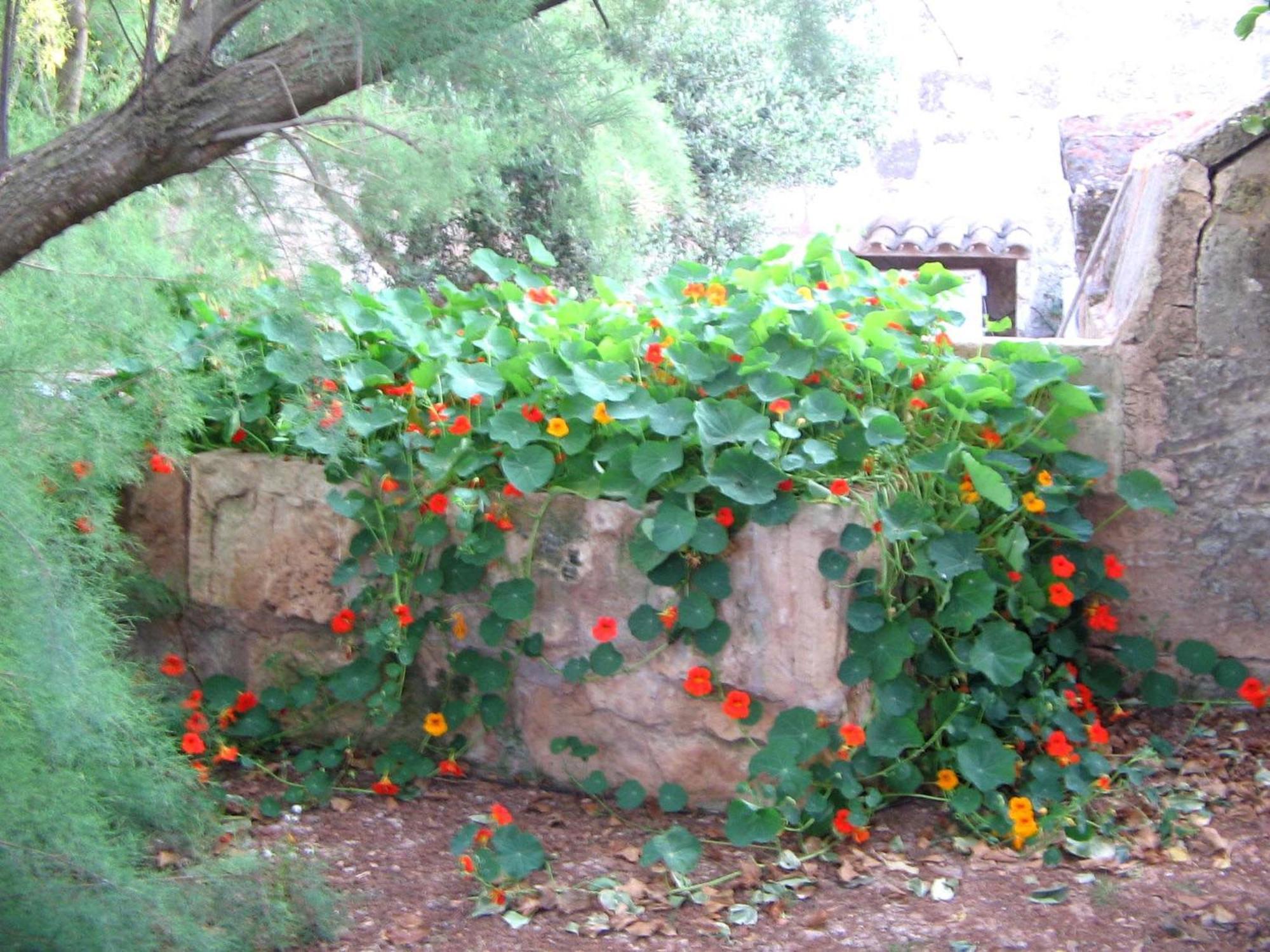 Agroturismo Finca Sant Blai Кампос Екстериор снимка