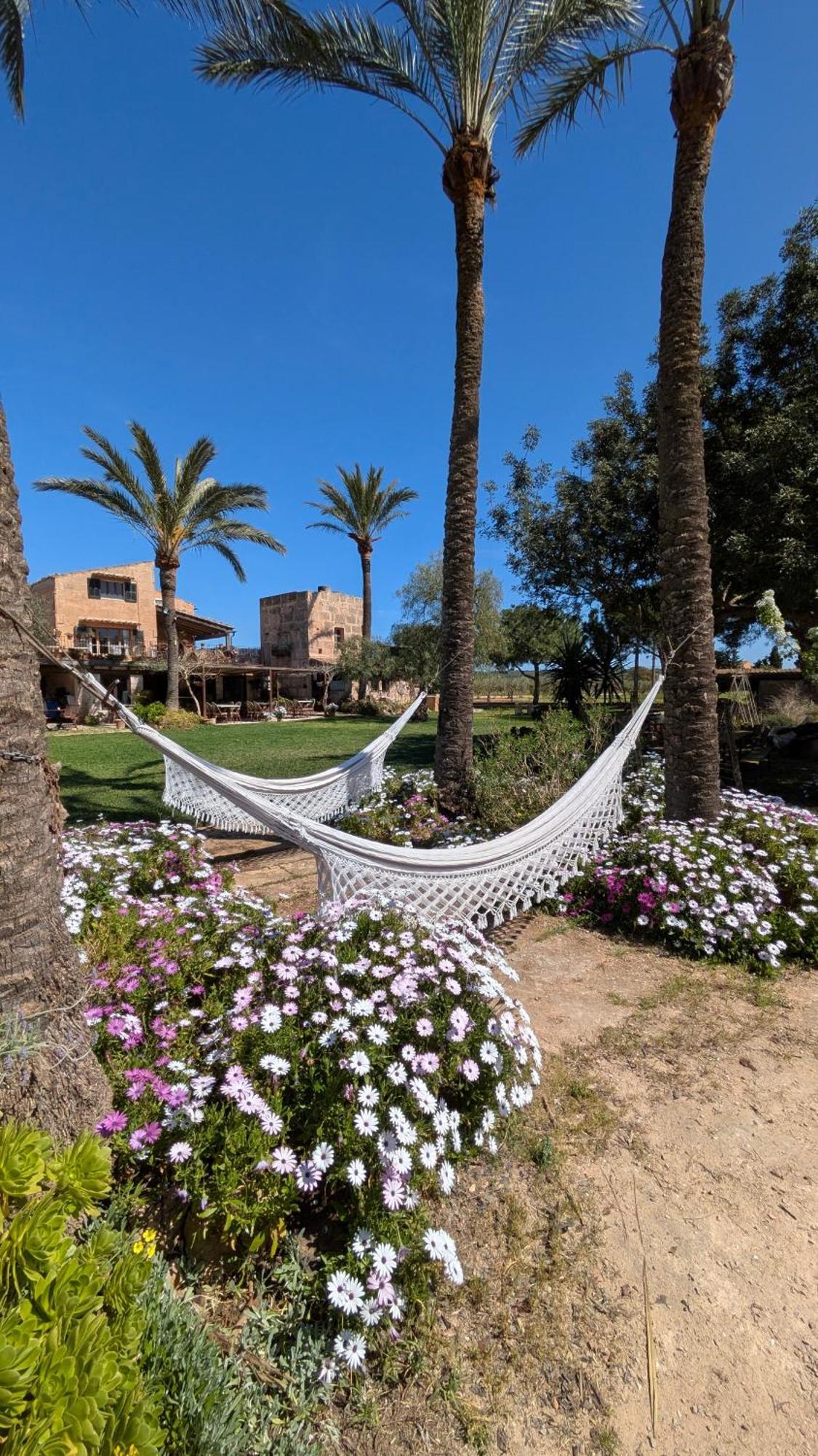 Agroturismo Finca Sant Blai Кампос Екстериор снимка