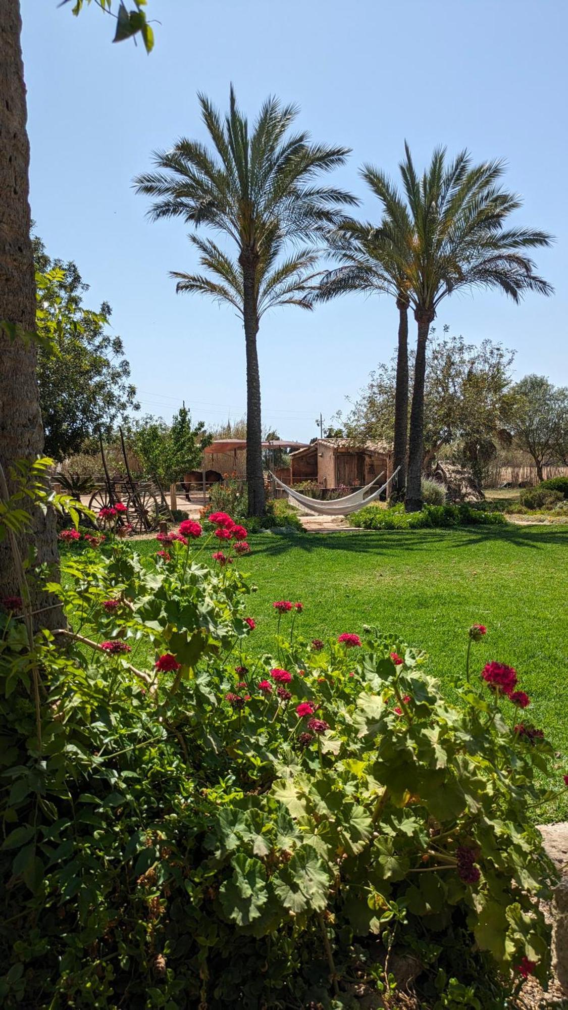 Agroturismo Finca Sant Blai Кампос Екстериор снимка