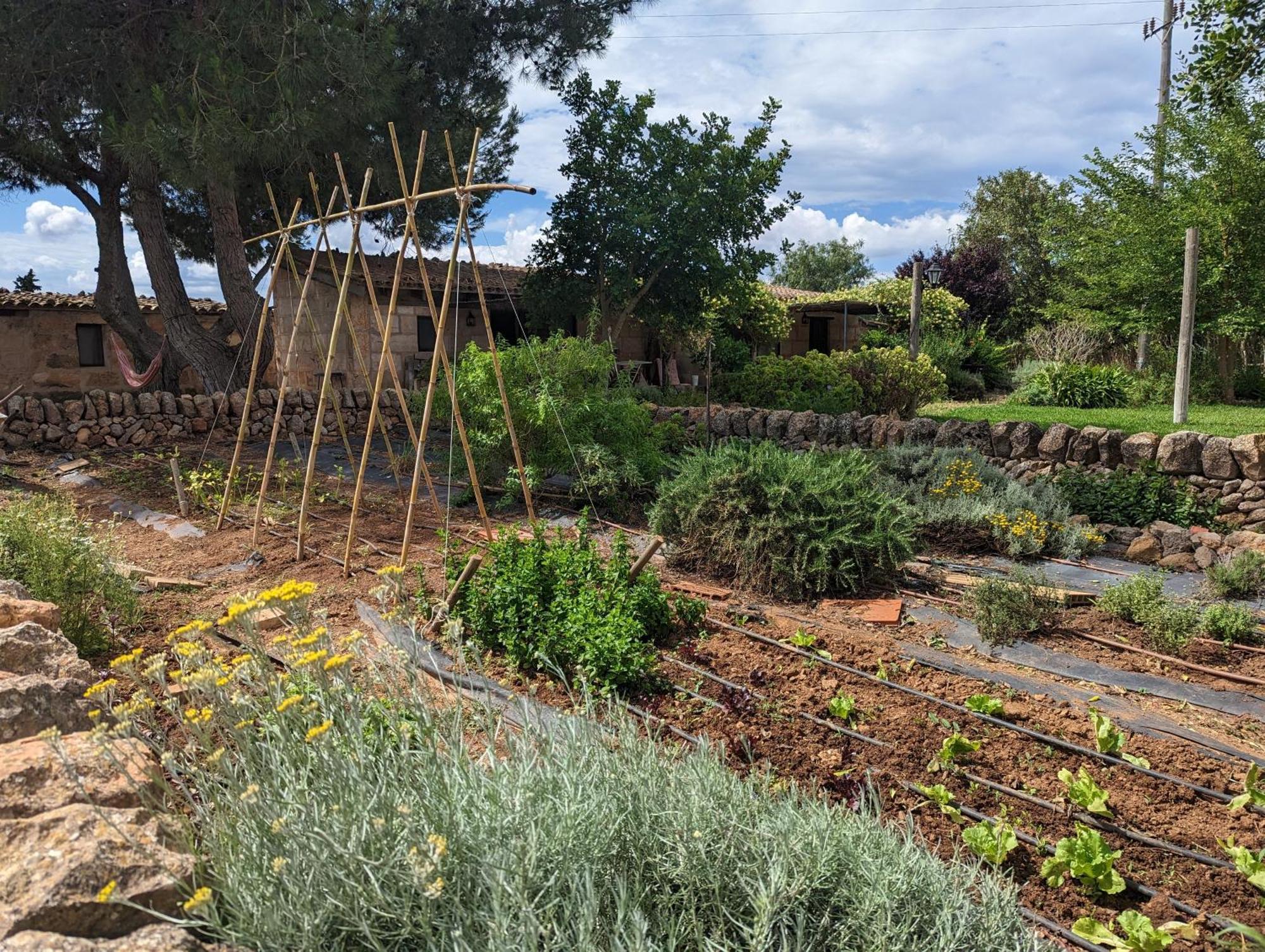 Agroturismo Finca Sant Blai Кампос Екстериор снимка