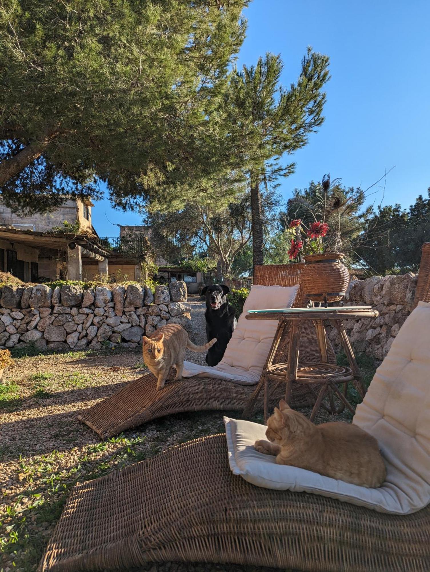 Agroturismo Finca Sant Blai Кампос Екстериор снимка