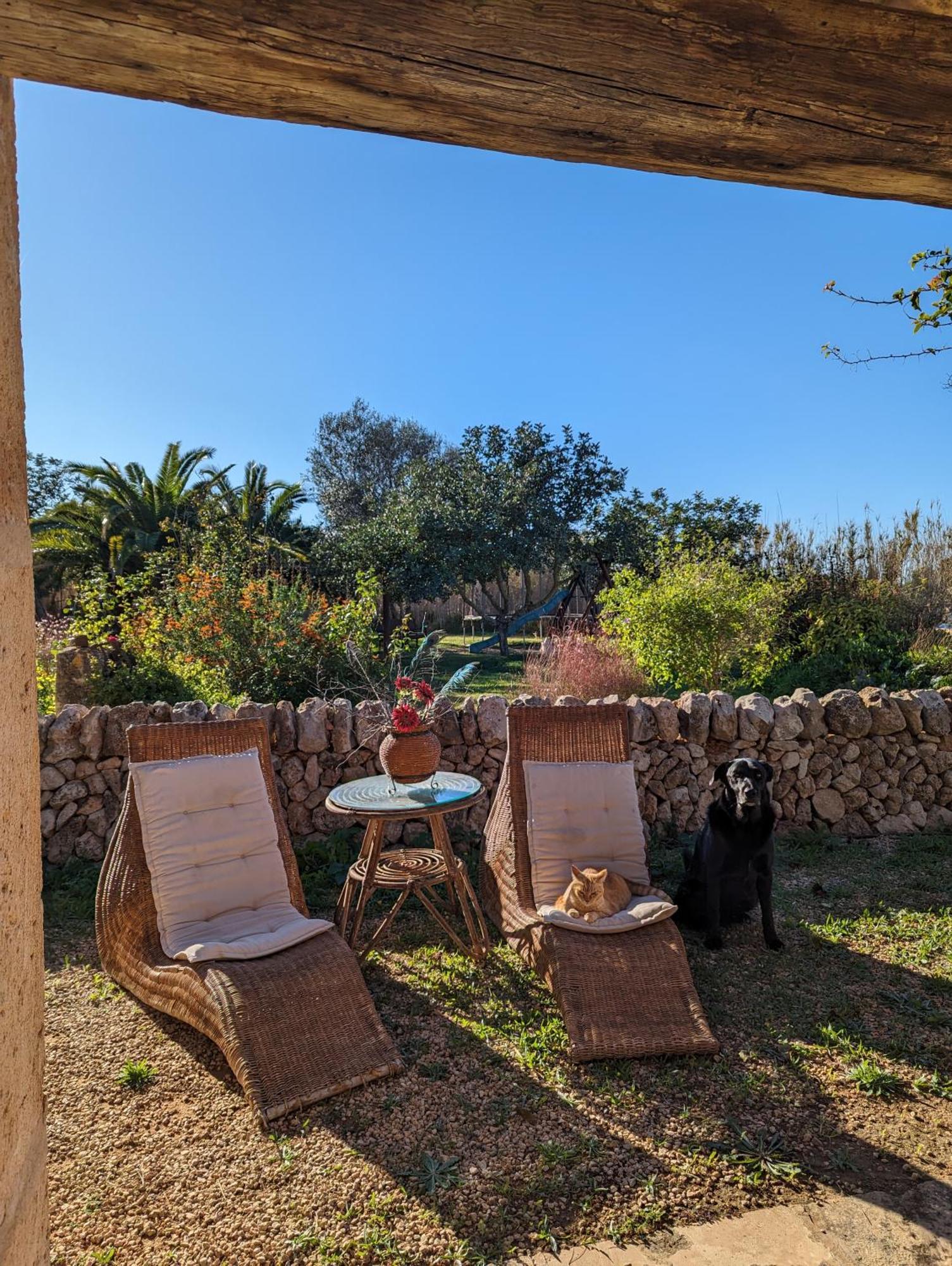 Agroturismo Finca Sant Blai Кампос Екстериор снимка